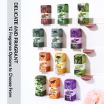 Water-Soluble Oil Factory - Long-Lasting 5ml Natural