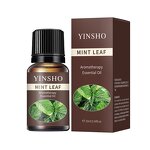 Pure Aroma Oil Factory - Natural Plant Extract Fresh