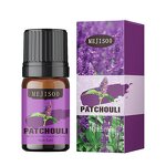 Water-Soluble Oil Factory - Long-Lasting 5ml Natural