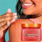 Bath Scrub Factory - Herbal Fruit Salt Moisturizing