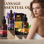 Pure Essential Oil Manufacturer - 30ML Plant-Based Massage