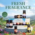 Aromatherapy Gift Box Factory - Luxurious 6-Bottle Rose