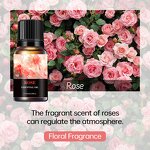 Black Ice Aromatherapy Factory - Commercial Water-Soluble