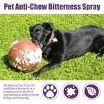 Pet Anti-chewing Spray Factory - Natural Plant Extracts
