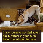 Pet Anti-chewing Spray Factory - Natural Plant Extracts