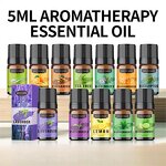 Water-Soluble Oil Factory - Long-Lasting 5ml Natural