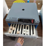 Egg Incubator Manufacturer - Automatic Hatching Machine