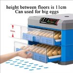 Egg Incubator Manufacturer - Automatic Hatching Machine