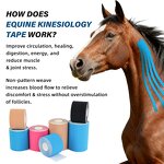 Waterproof Horse Tape Factory - Lasts 3-5 Days OEM