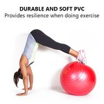 Yoga Ball Factory - Workout Balance Fitness Stability