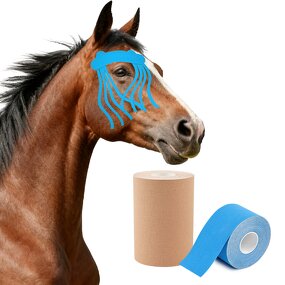 Horse Kinesiology Tape Factory - Veterinary Grade Racehorses