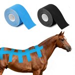 Equine Kinesiology Tape Factory - Athletic Performance Injury