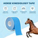 Horse Kinesiology Tape Factory - Veterinary Grade Racehorses