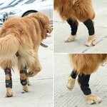 Dog Knee Brace Factory - High Elasticity Pet Comfortable