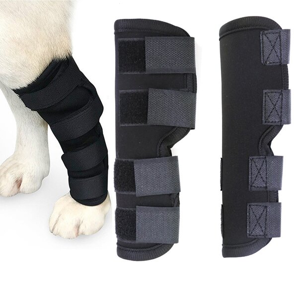 Dog Knee Brace Factory - High Elasticity Pet Comfortable