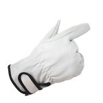 Driver Gloves Factory - OEM Low Price Sheep Leather Clean