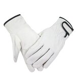 Driver Gloves Factory - OEM Low Price Sheep Leather Clean