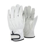 Driver Gloves Factory - OEM Low Price Sheep Leather Clean