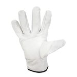 Driver Gloves Factory - OEM Low Price Sheep Leather Clean