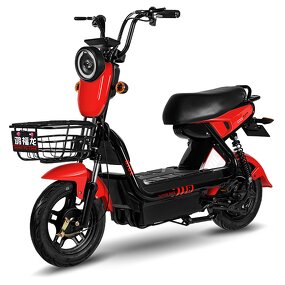 Electric City Bike Factory - OEM 48V 3-Speed Hybrid Lead-Acid