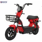 Electric Bike Factory - OEM 500w LCD CE Certified Custom Color