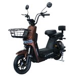 Electric Bike Factory - OEM 48V 500W Digital Urban Two-Seater