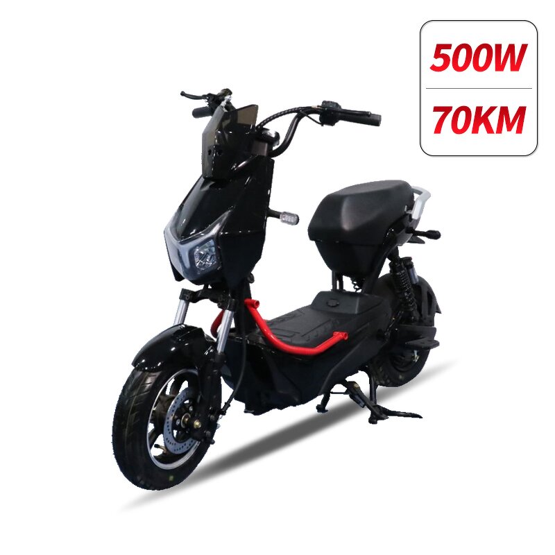Electric City Bike Factory - OEM 500w 20ah Trike Twin Scooter