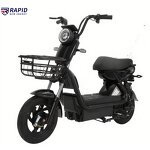 Electric Bike Factory - OEM 500w LCD CE Certified Custom Color