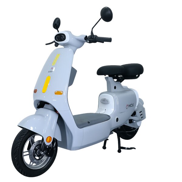 Electric Bicycle Manufacturer - OEM 2 Seater Long Range E Bike