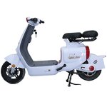 Electric Bicycle Manufacturer - OEM 2 Seater Long Range E Bike