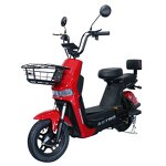 Electric Bike Factory - OEM 48V 500W Digital Urban Two-Seater