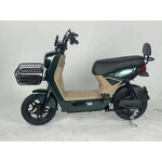 Electric Skateboard Factory - OEM Hot-selling 48V12A E-bike