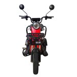 Electric Cargo Trike Factory - OEM 60v Open Body Adult