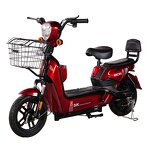 Electric Scooter Factory - OEM 48V 350W Adult City Bike