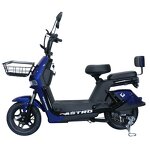 Electric Bike Factory - OEM 48V 500W Digital Urban Two-Seater