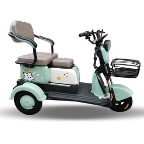 Electric Delivery Tricycle Factory - OEM 48V Open Cabin Cargo