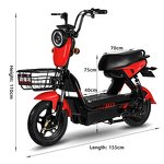 Electric City Bike Factory - OEM 48V 3-Speed Hybrid Lead-Acid