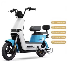 Electric Bicycle Factory - OEM 500W Brushless Aluminum Alloy City