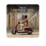 Electric Motorcycle Factory - OEM 72V 800W Retro Fast Fashion