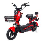 Electric Moped Manufacturer - OEM 48V 60V 12A Electric Bike