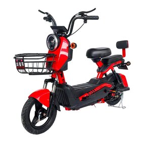 Electric Moped Manufacturer - OEM 48V 60V 12A Electric Bike