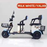 Electric Tricycle Manufacturer - OEM 3 Wheel Agricultural Double Row