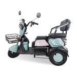Electric Tricycle Factory - OEM 600W Multi-purpose for Disabled