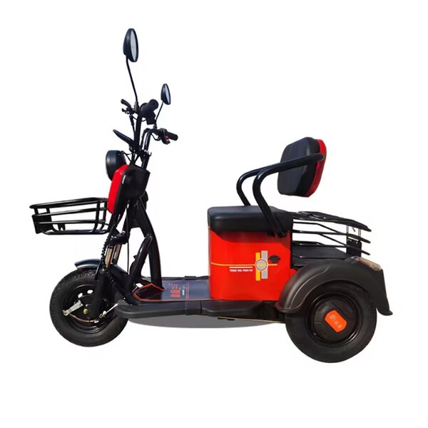 Electric Tricycle Factory - OEM 3 Wheel Disability with Pedals