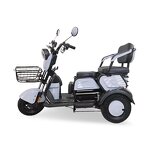 Electric Tricycle Factory - OEM 600W Multi-purpose for Disabled