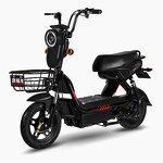 Electric City Bike Factory - OEM 48V 3-Speed Hybrid Lead-Acid