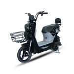 Electric Scooter Factory - OEM 500W Adult Disc Brake Big Wheels