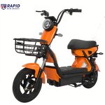 Electric Bike Factory - OEM 500w LCD CE Certified Custom Color