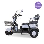 Electric Tricycle Factory - OEM Open-Body 48v 60v Two-Seater