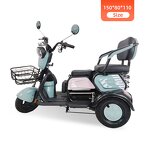 Electric Tricycle Supplier - OEM 600W 48V 3 Wheel with Basket
